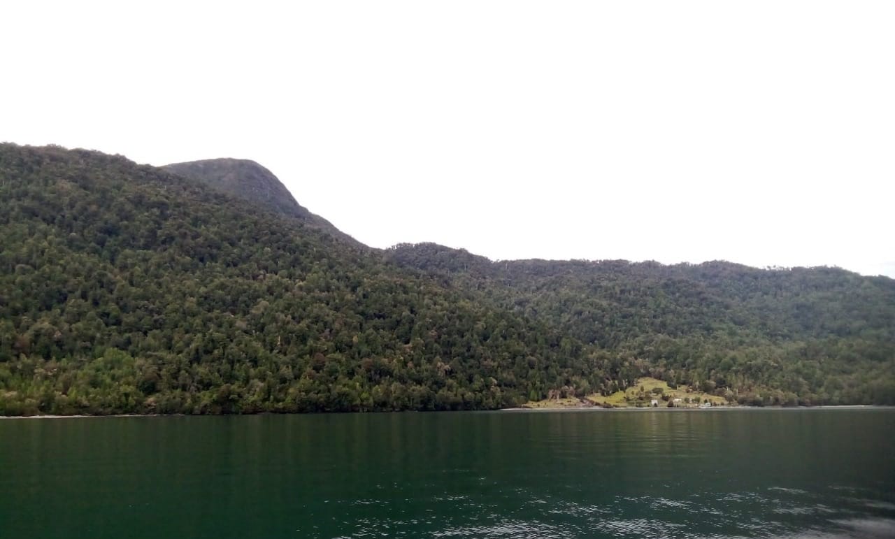 Fiordo Queulat 100ha - Imagen 3