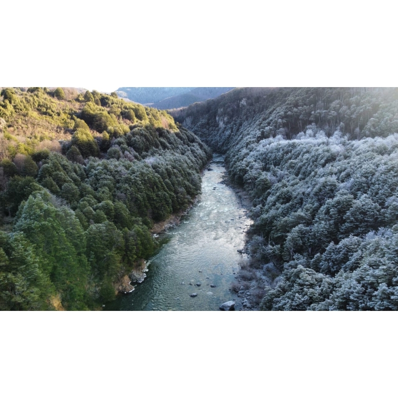 Cisne Medio – Laguna Las Quemas $1,2MM x ha