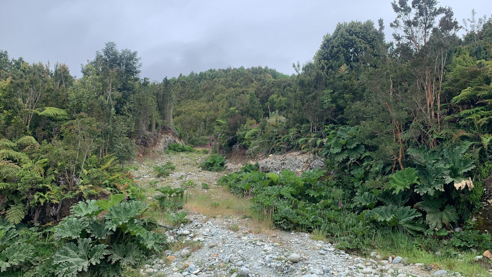 Hualaihué, Hornopirén 3,78 ha - Imagen 5