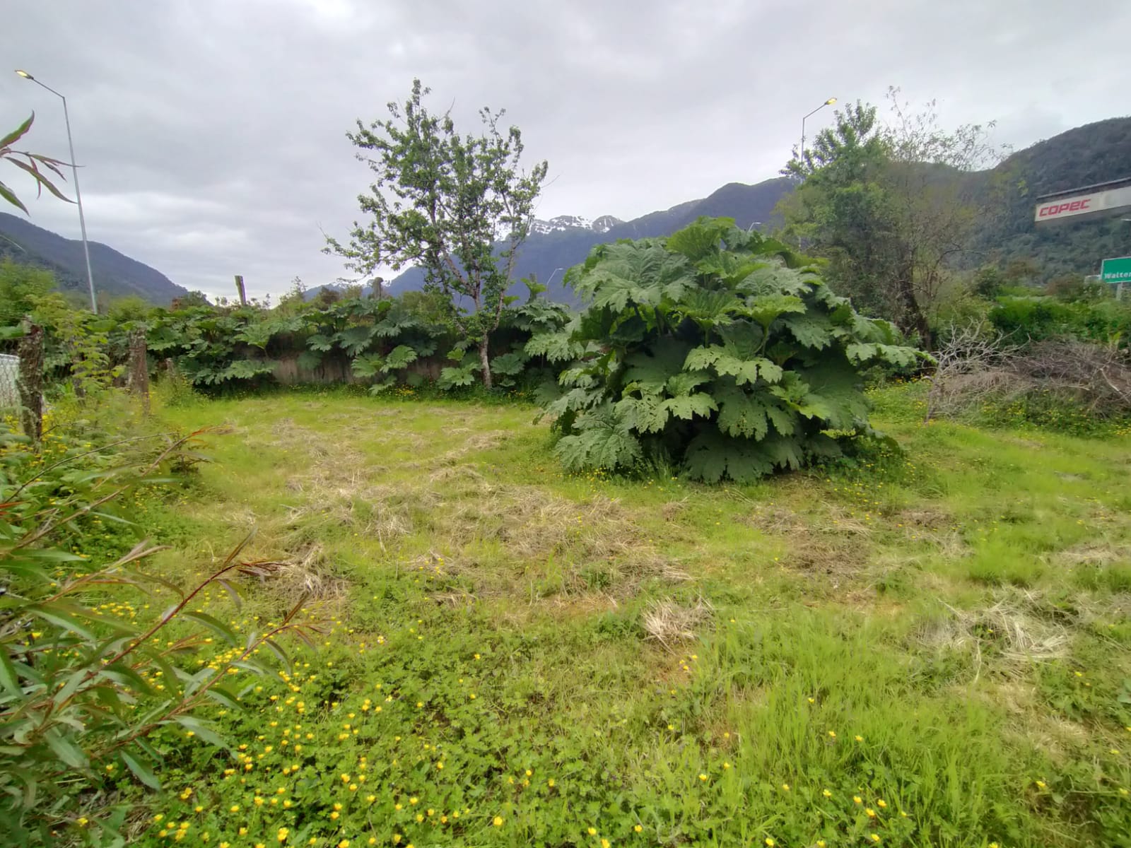 Puyuhuapi Terreno urbano - Imagen 4