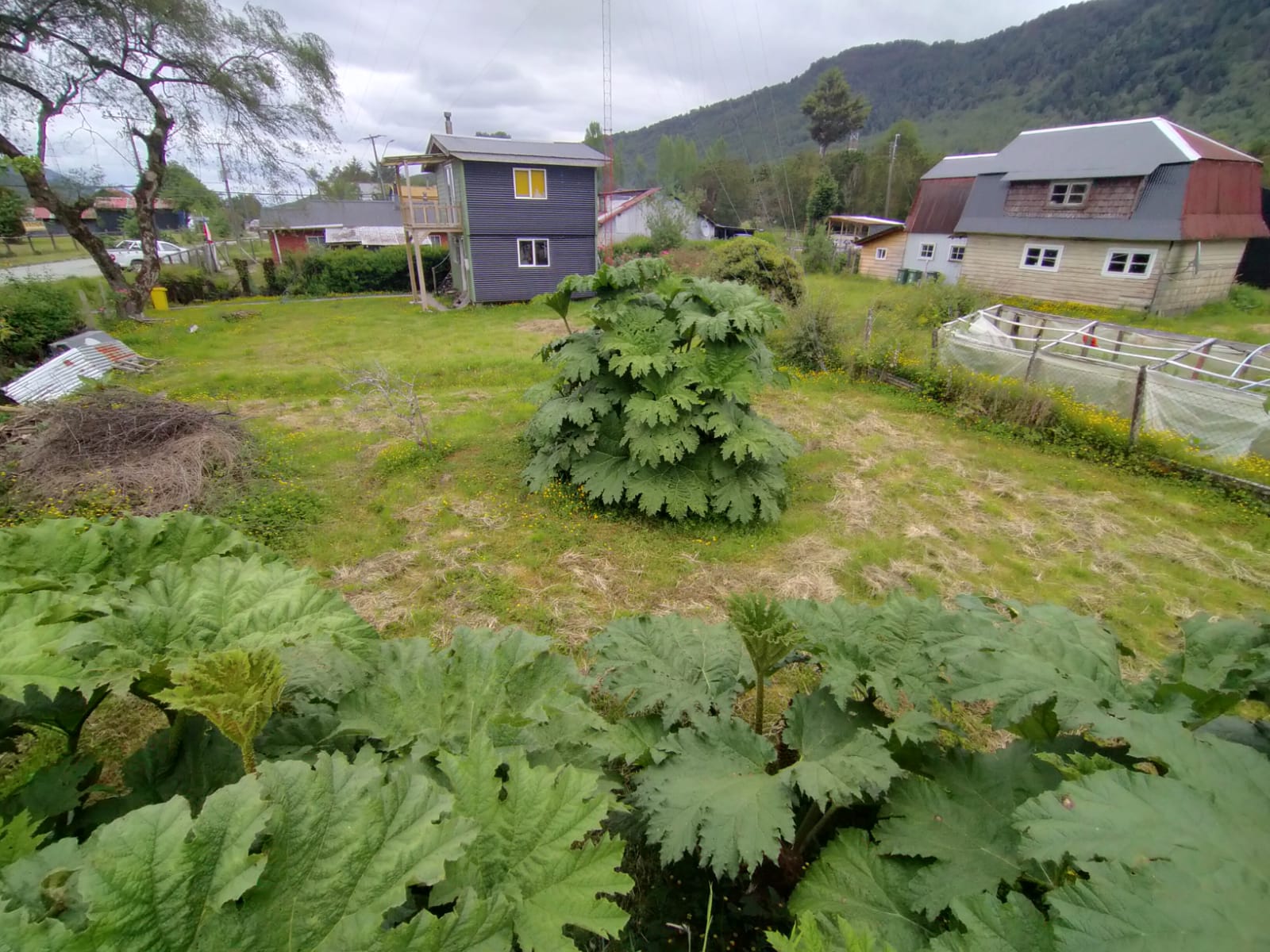 Puyuhuapi Terreno urbano - Imagen 5