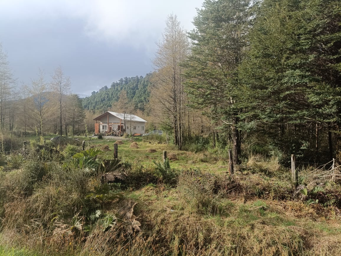 Villa Santa Lucía 5000 m2 - Imagen 5
