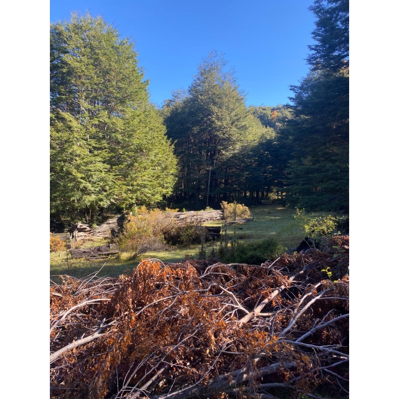 Panguipulli 5000 m2