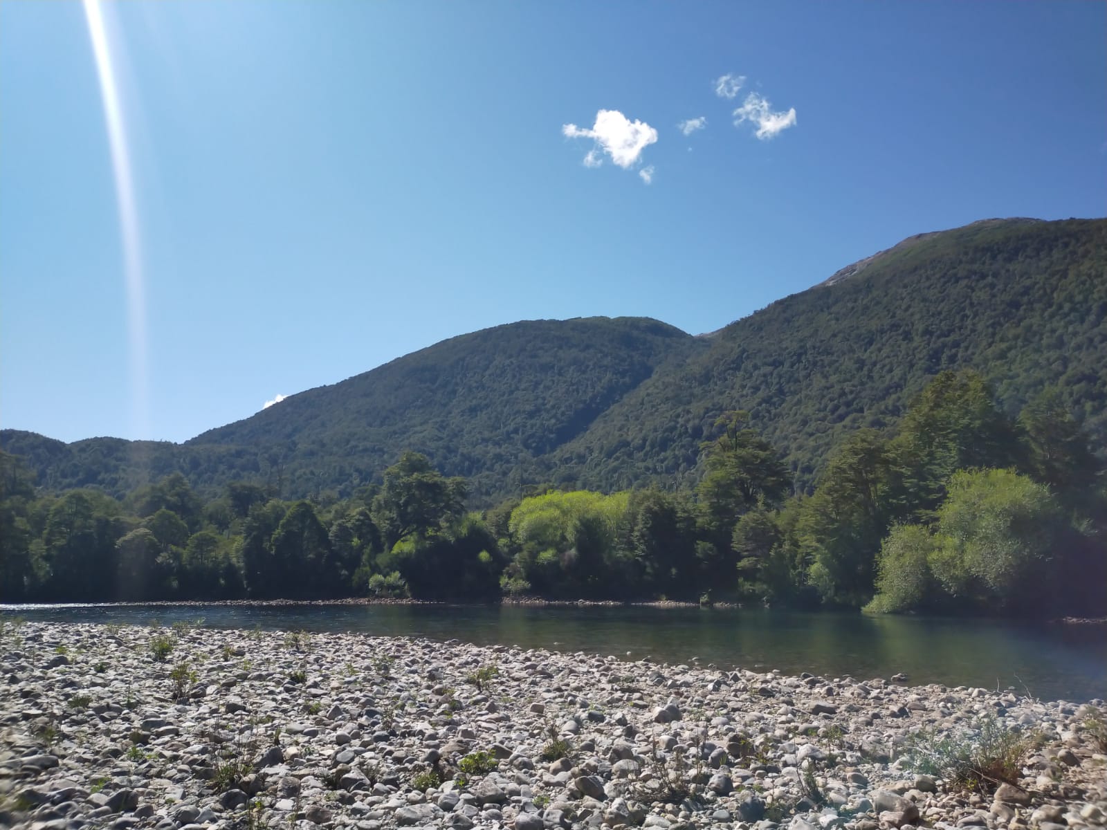 Río Cisnes - La Magia 2,48ha - lote71 - Imagen 14