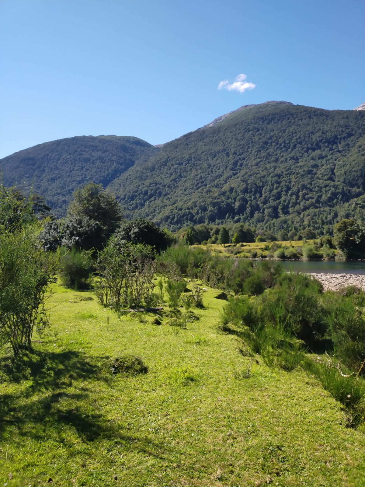 Río Cisnes - La Magia 2,48ha - lote71 - Imagen 3