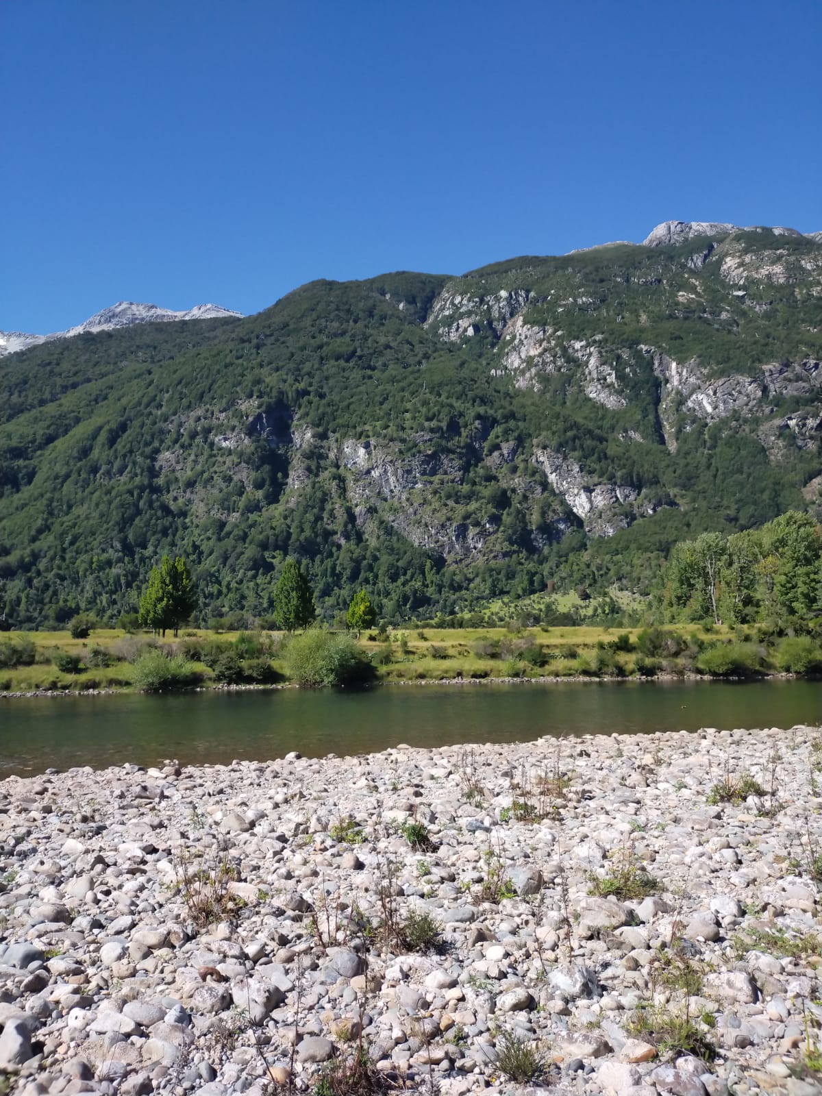 Río Cisnes - La Magia 2,48ha - lote71 - Imagen 5