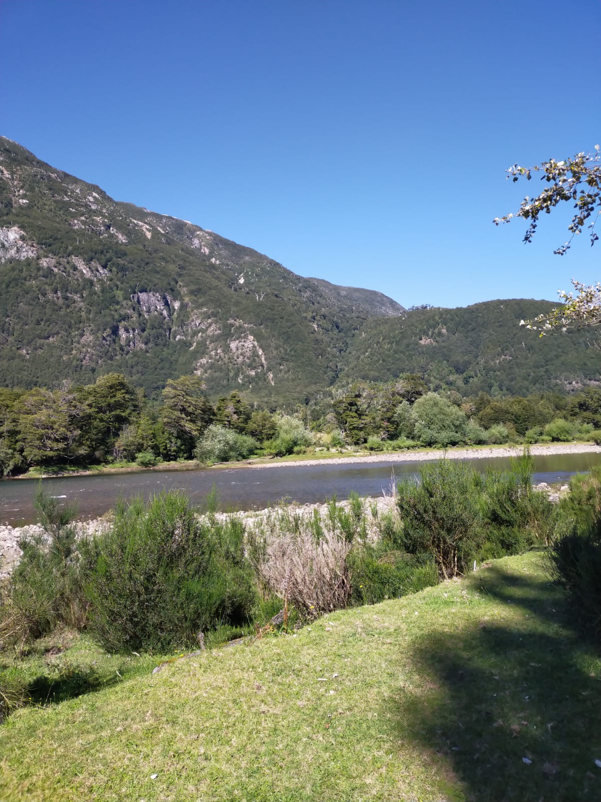 Río Cisnes - La Magia 2,48ha - lote71 - Imagen 11