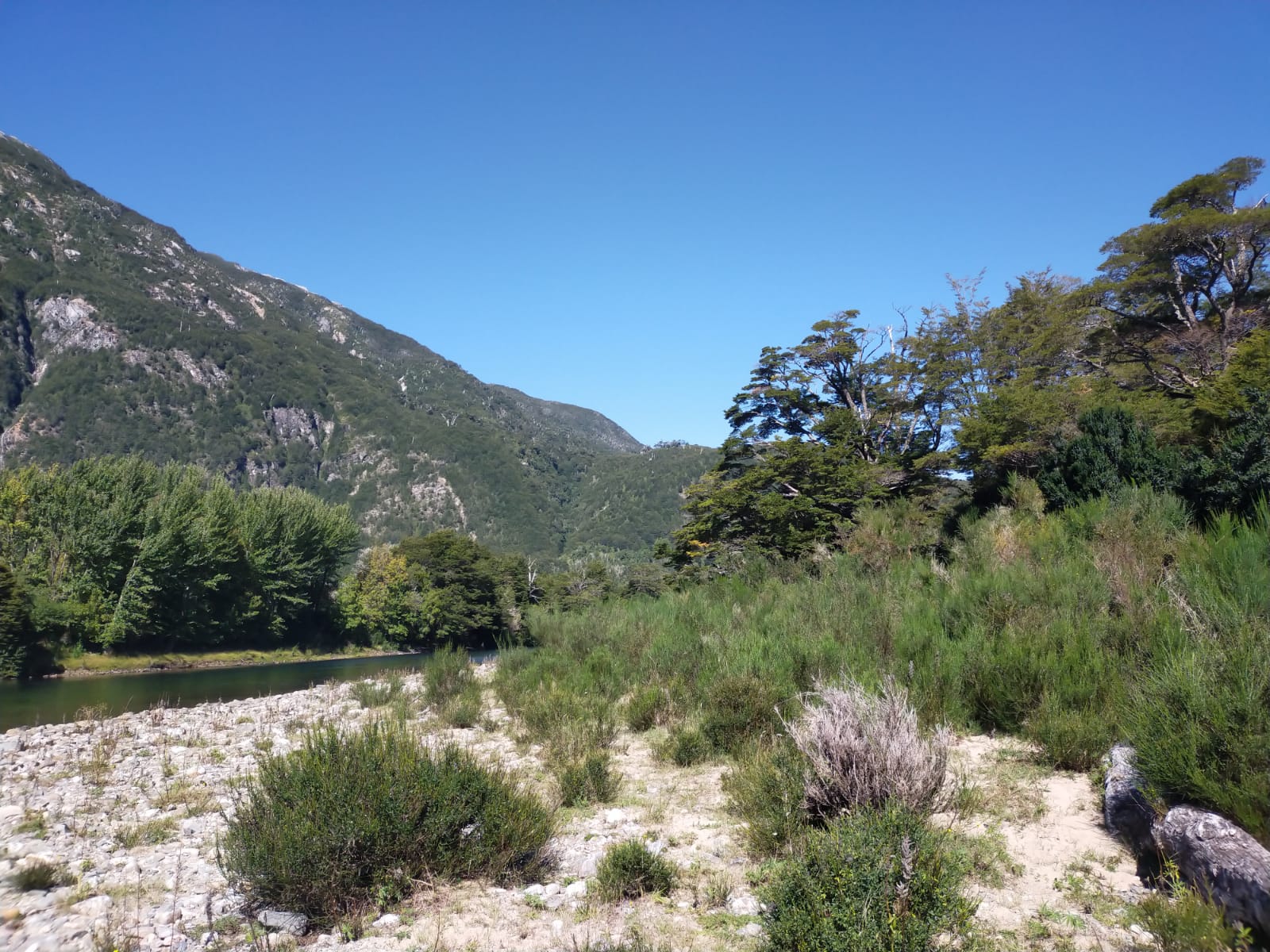 Río Cisnes - La Magia 2,48ha - lote71 - Imagen 12