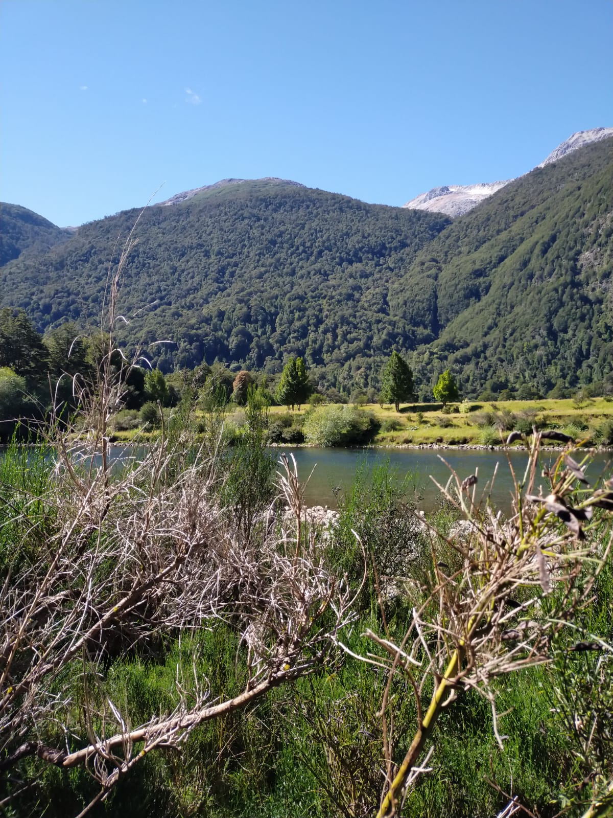 Río Cisnes - La Magia 2,48ha - lote71 - Imagen 13
