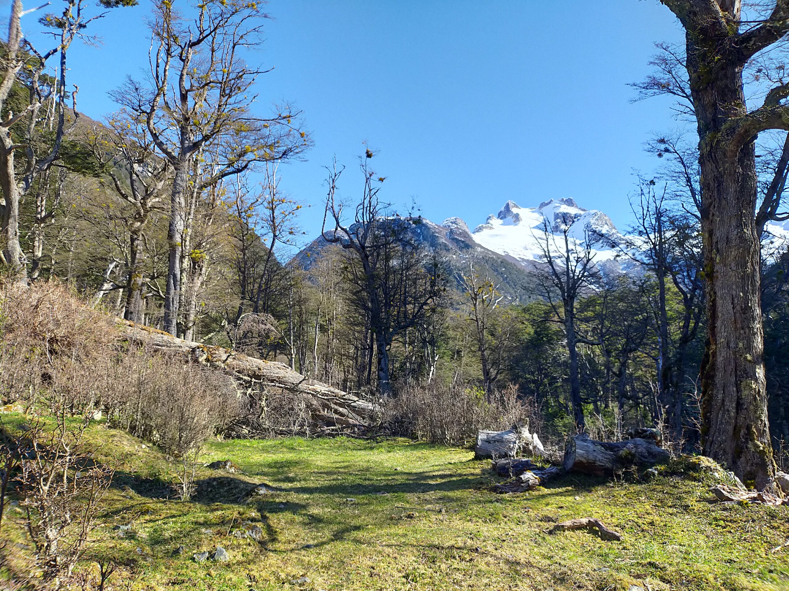 Emperador Guillermo 55,5ha - Imagen 5