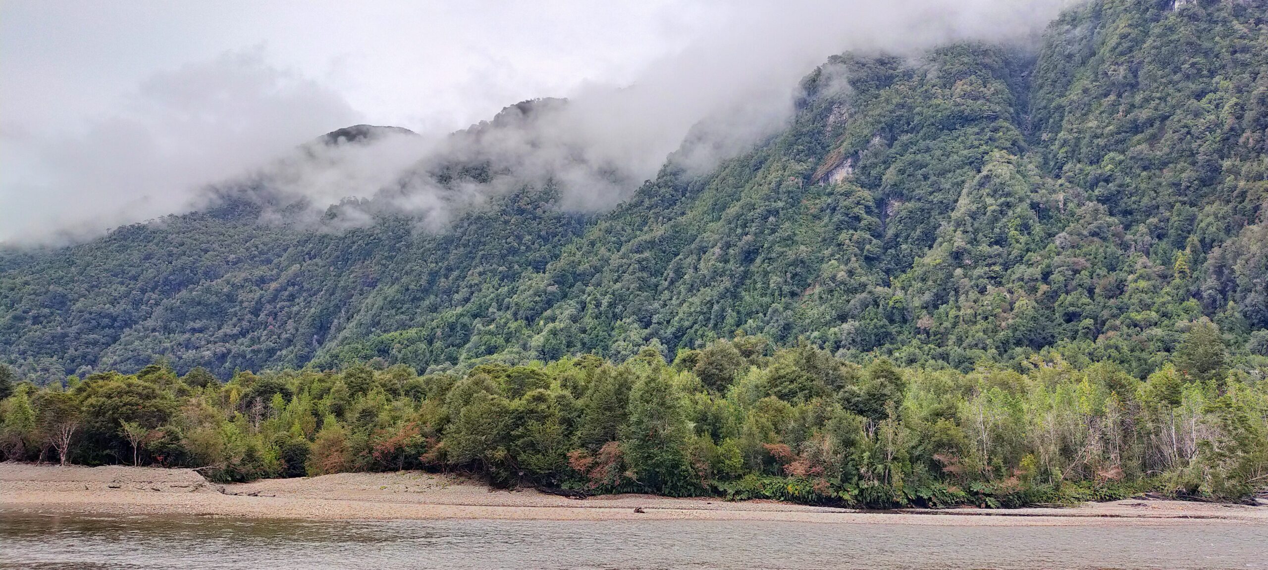Río Queulat 43ha - Imagen 10