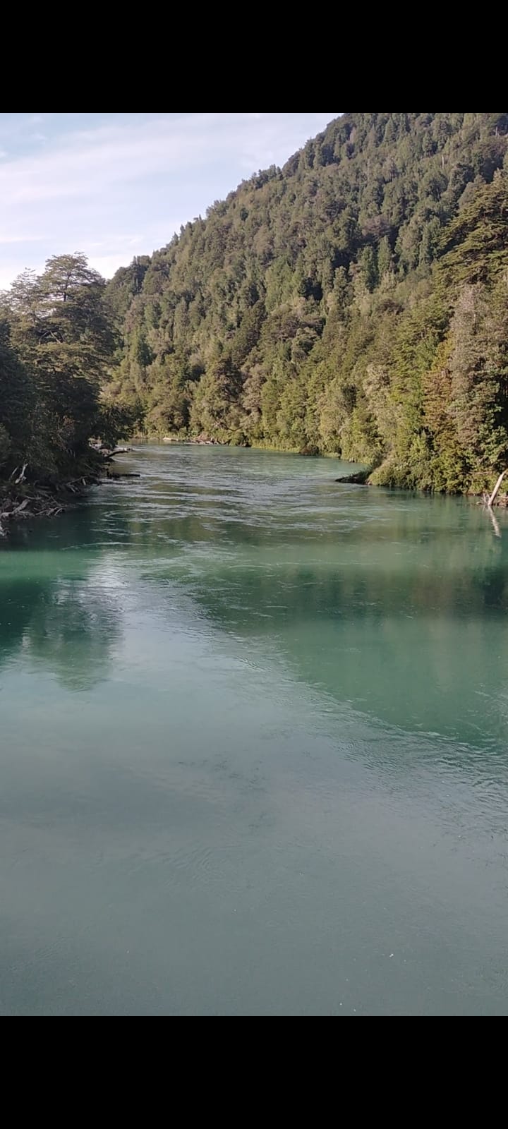 Río Palena 12ha con cabaña y domo - Imagen 13