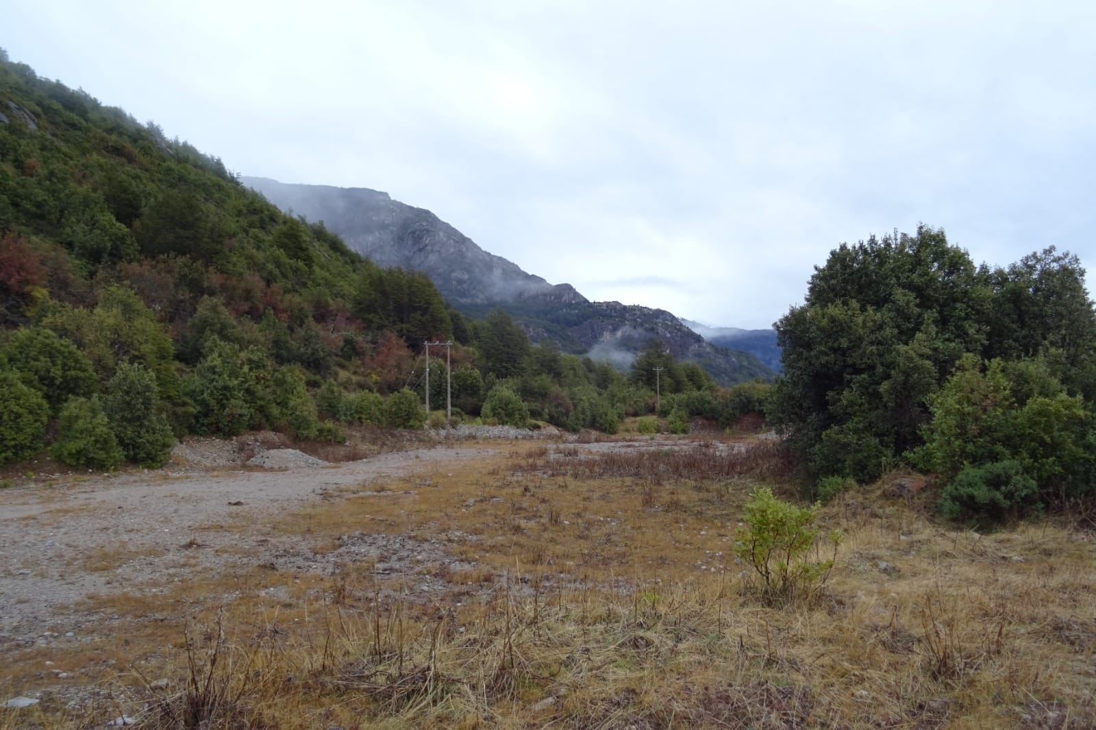 Bosques de Choyquemoro 30ha - Imagen 3
