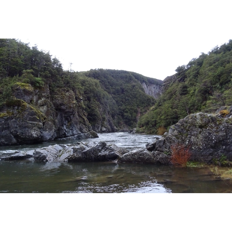 El Balseo, Cisne Medio 10,62ha