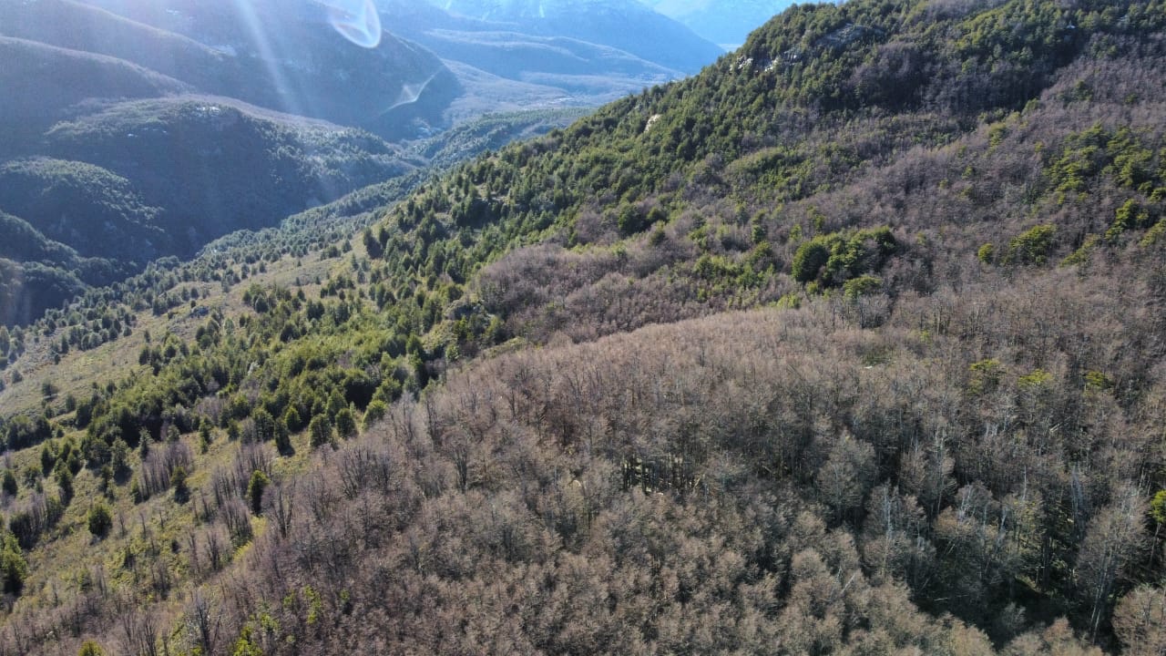 Cisne Medio – Laguna Las Quemas $1,2MM x ha - Imagen 3