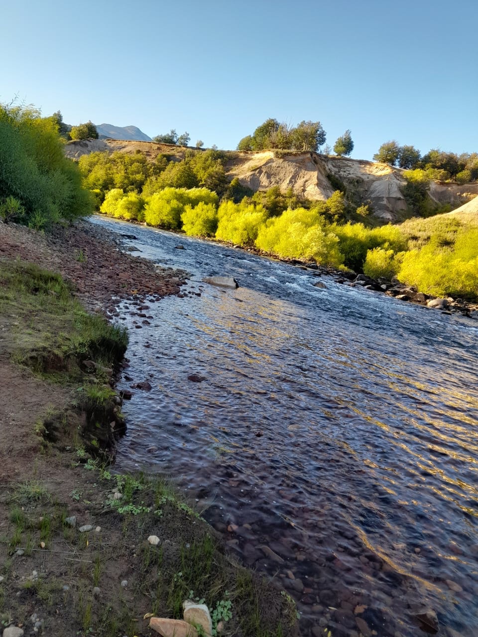 Río Cisnes - La Tapera 5800m2 - Imagen 7