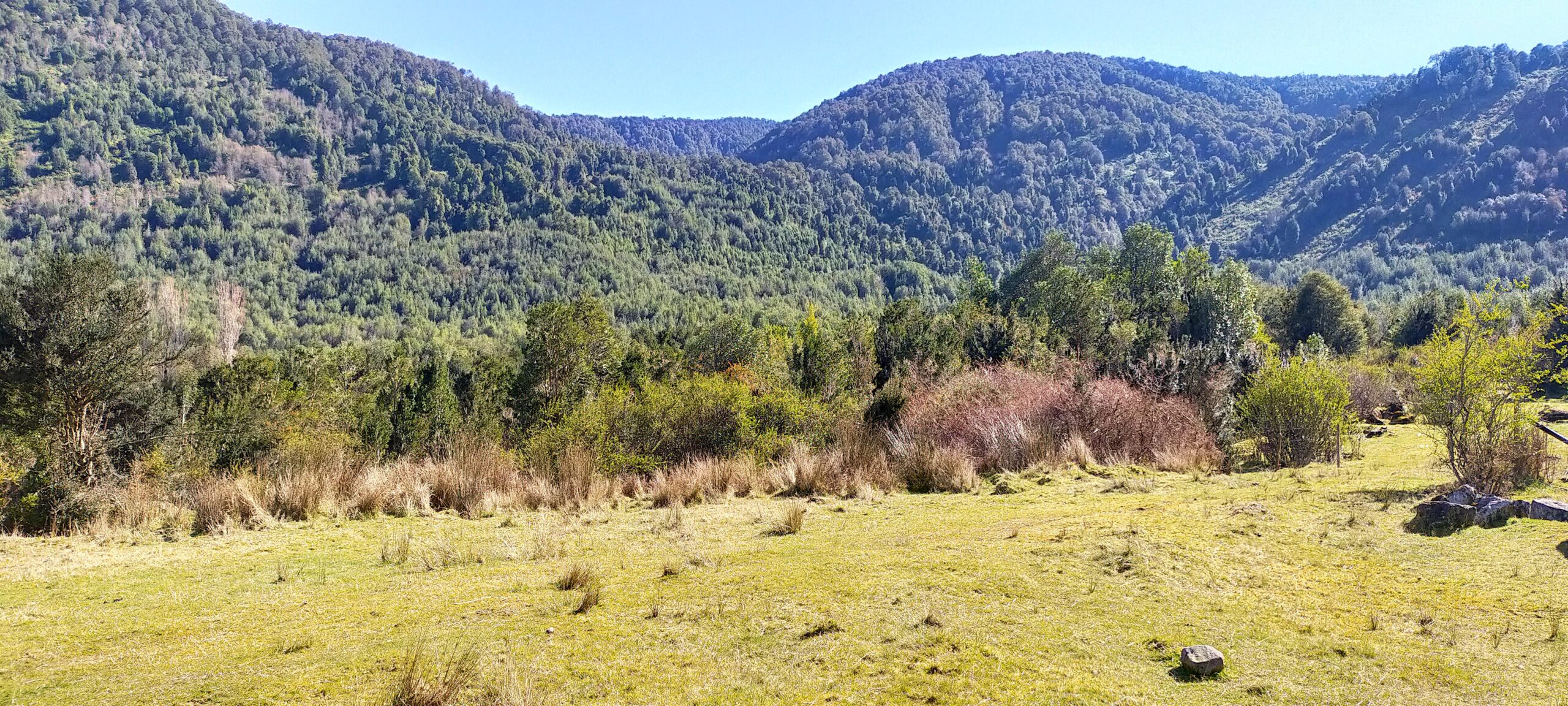 Puyuhuapi 2,3 ha urbano - Imagen 11
