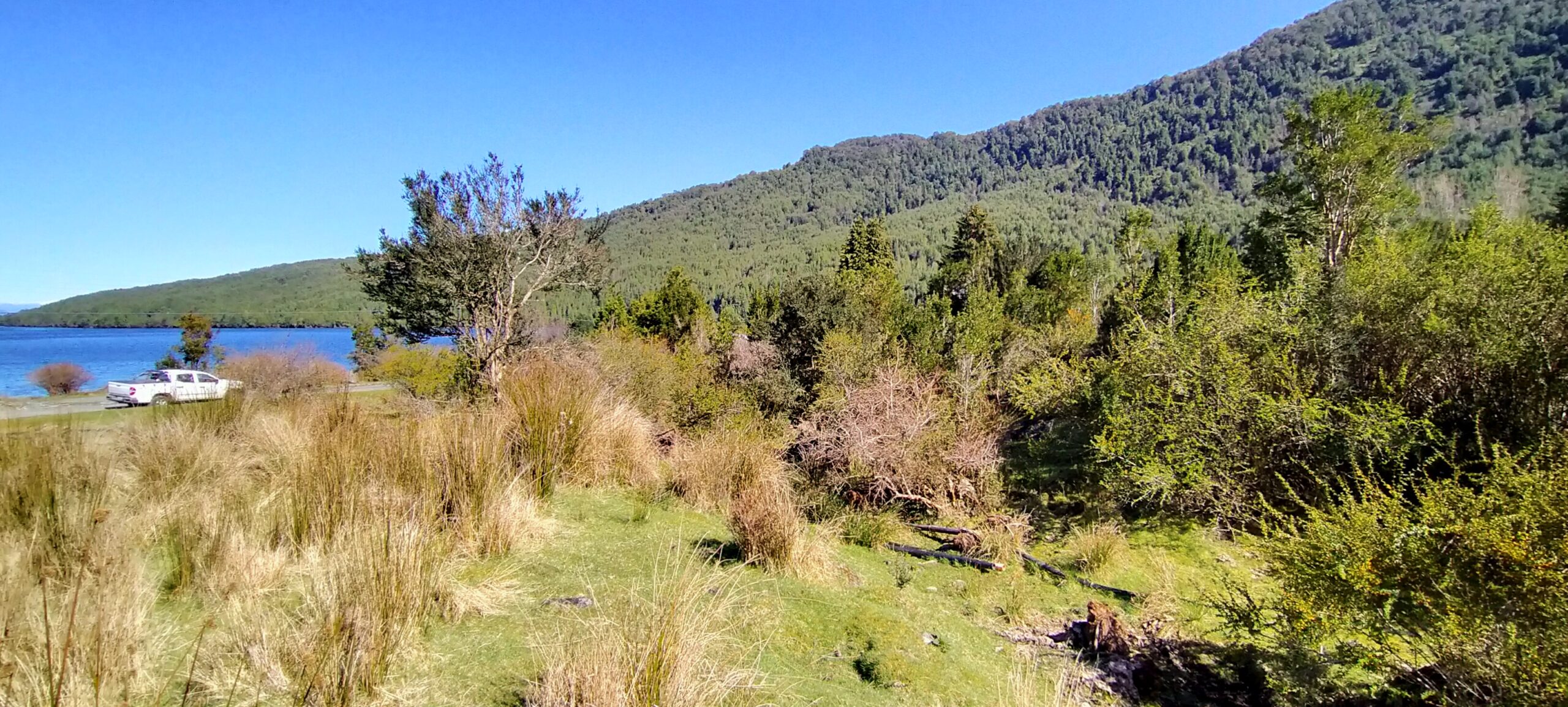 Puyuhuapi 2,3 ha urbano - Imagen 7