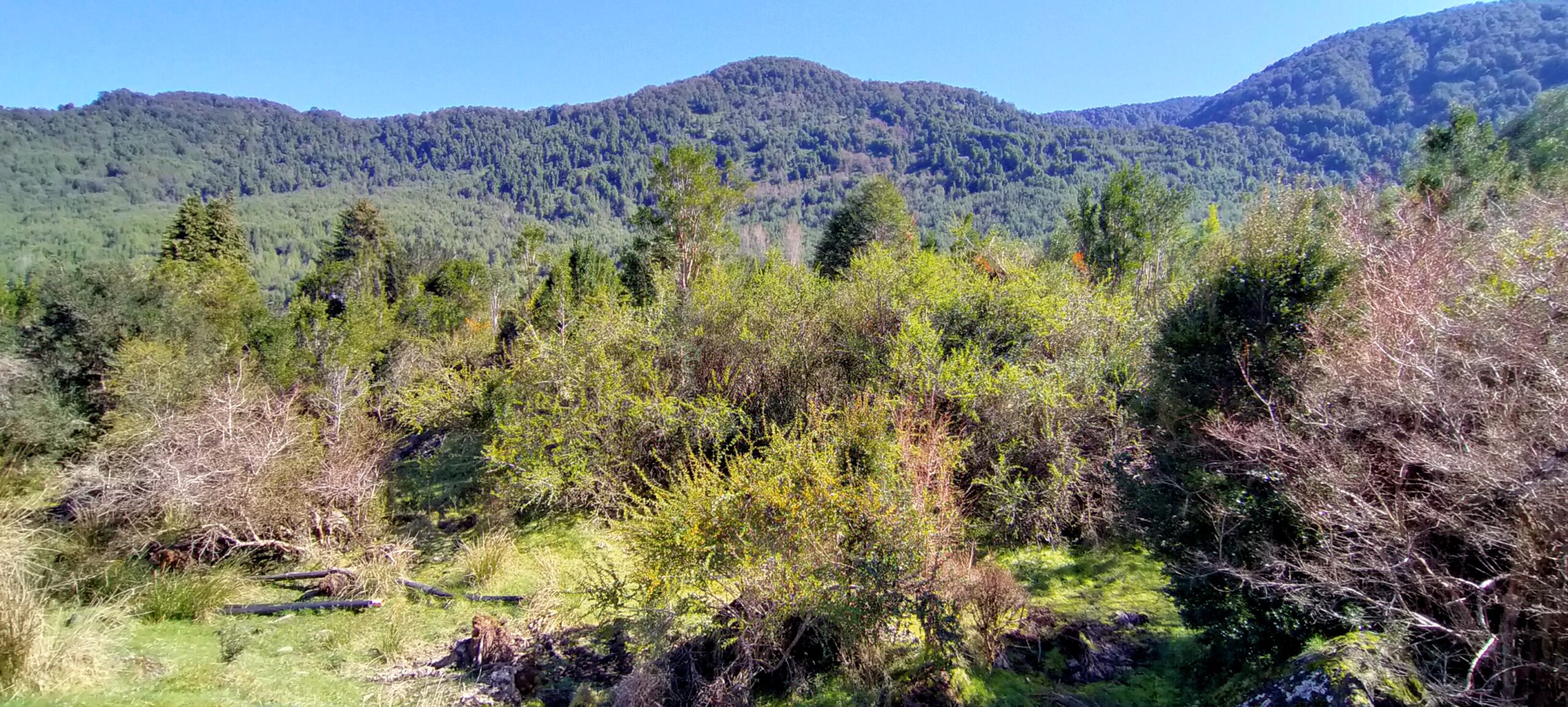 Puyuhuapi 2,3 ha urbano - Imagen 8