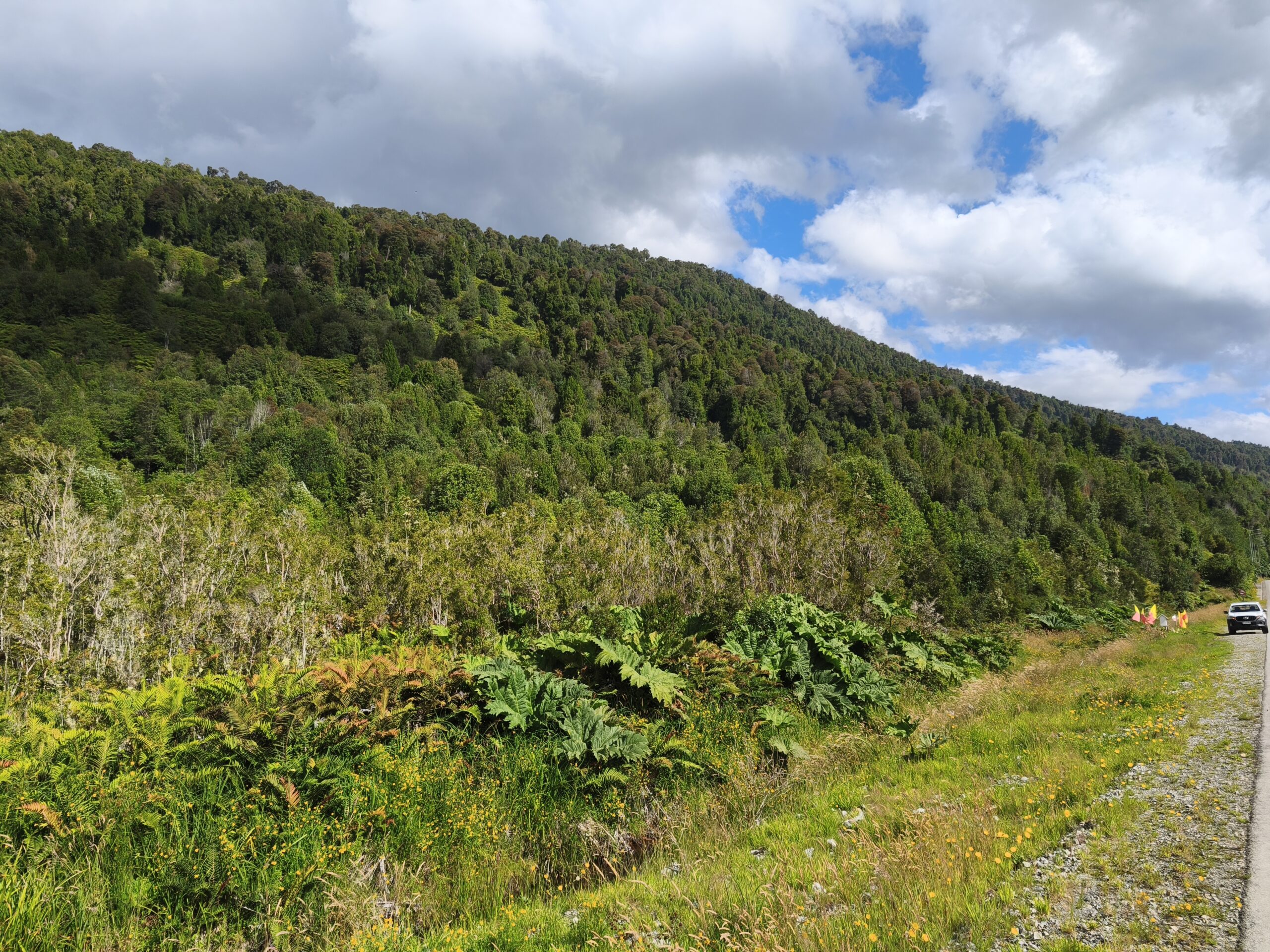 Puyuhuapi 5000m2 parcelas - Imagen 10
