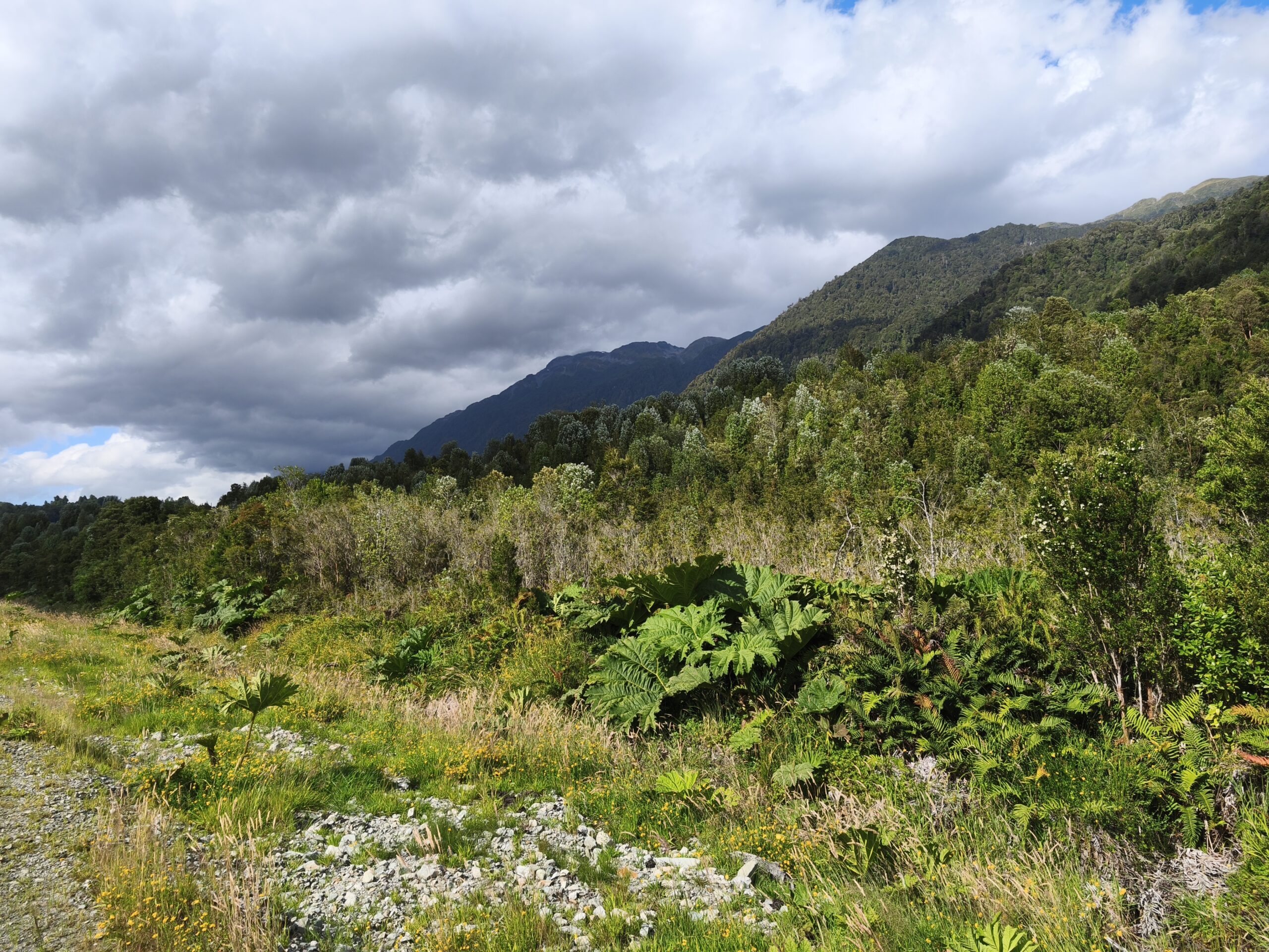 Puyuhuapi 5000m2 parcelas - Imagen 11