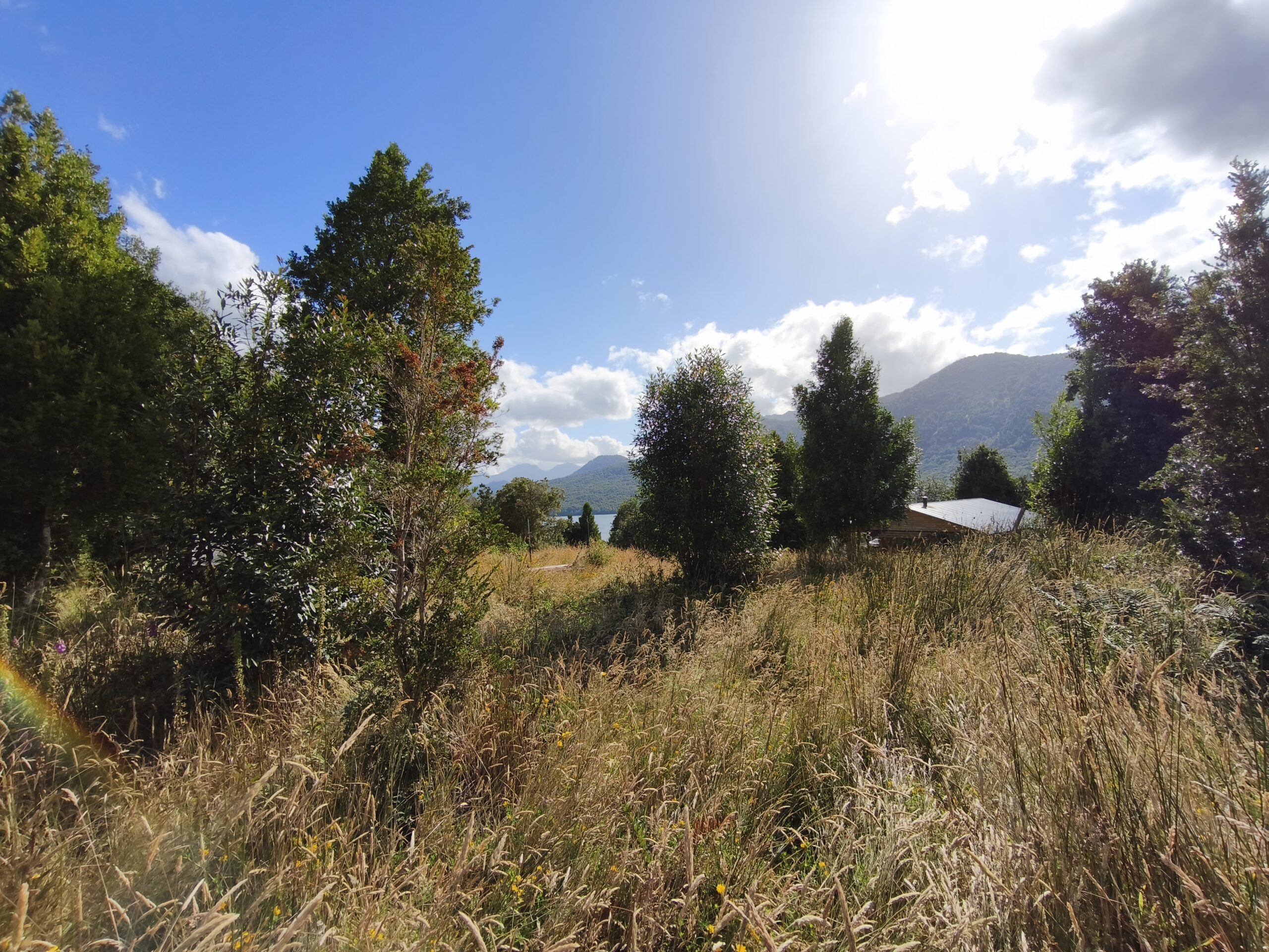 Puyuhuapi 5000m2 parcelas - Imagen 13