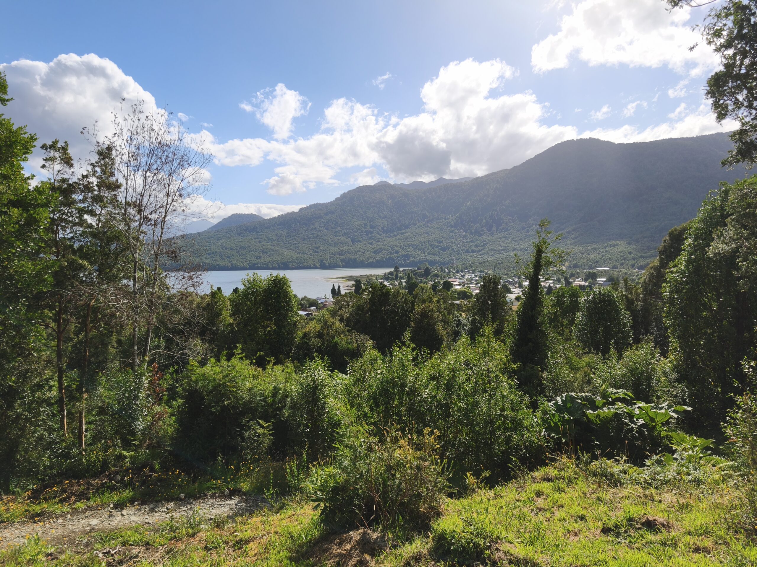 Puyuhuapi 5000m2 parcelas - Imagen 14