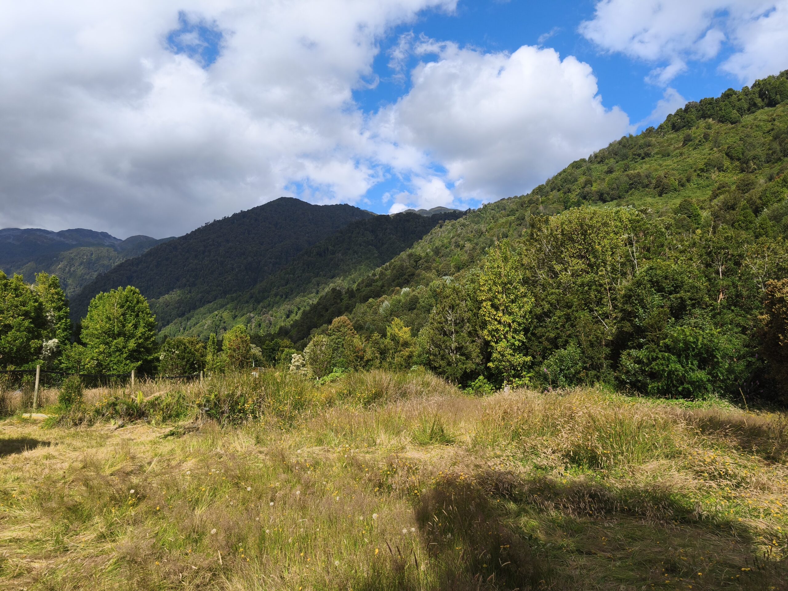 Puyuhuapi 5000m2 parcelas - Imagen 16