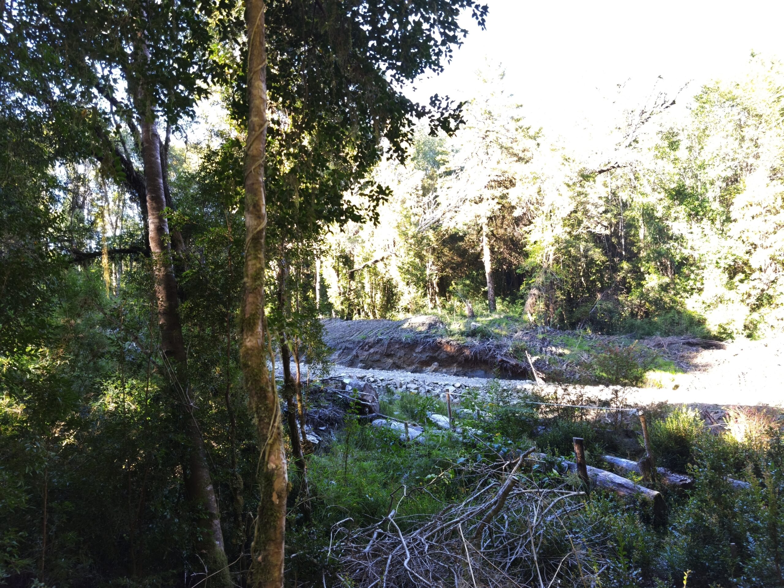 Fiordo Puyuhuapi 1 ha (x2) - Imagen 9