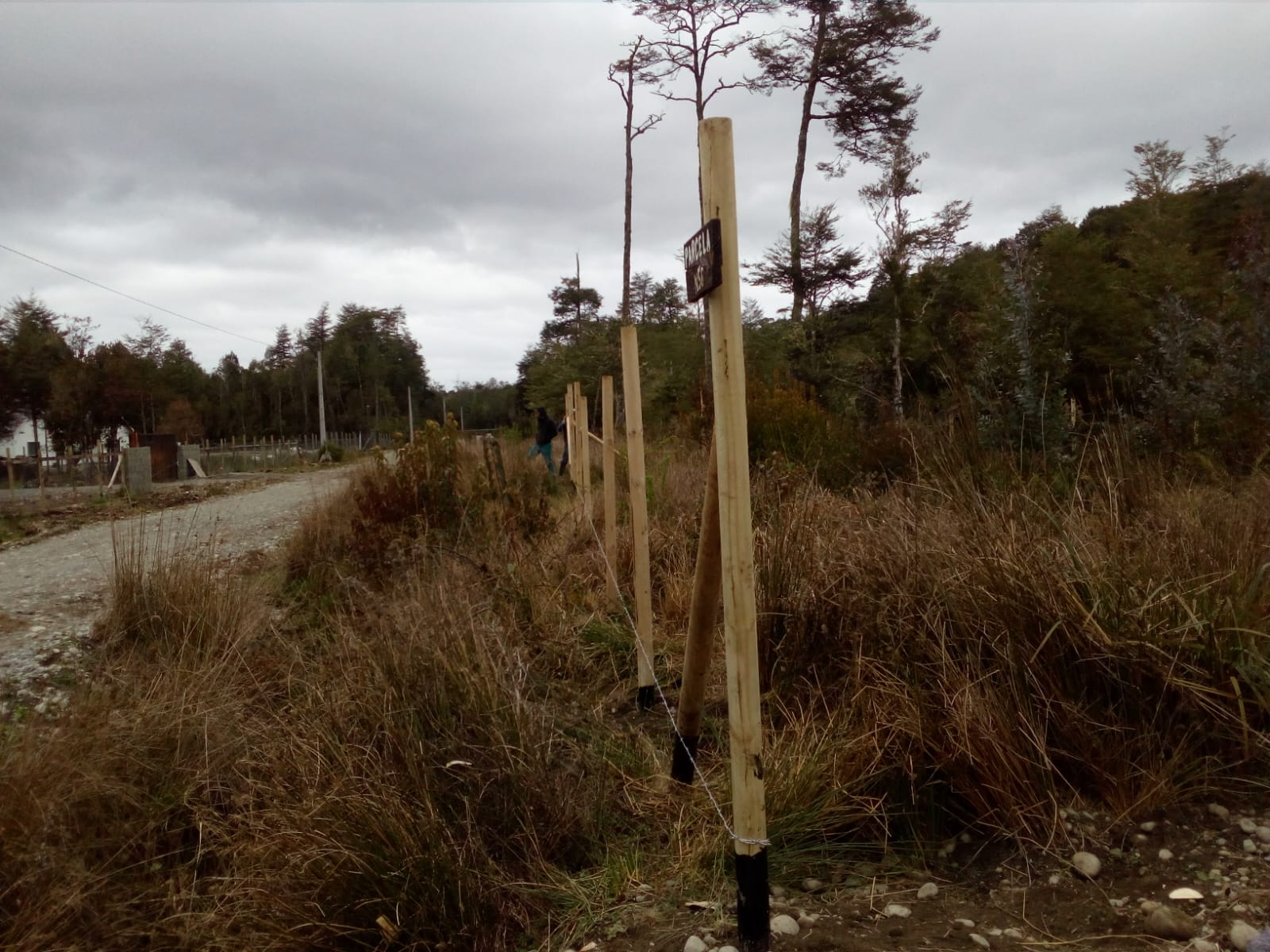 Tepual 5000 m2 - Puerto Montt - Imagen 3