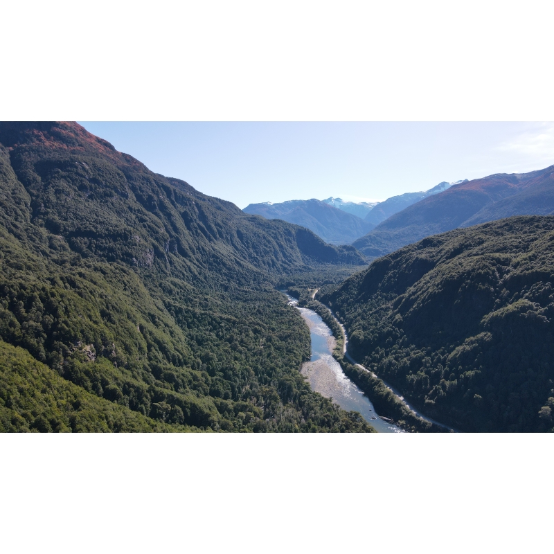 Río Cisnes - La Magia 1,19 ha bosque nativo