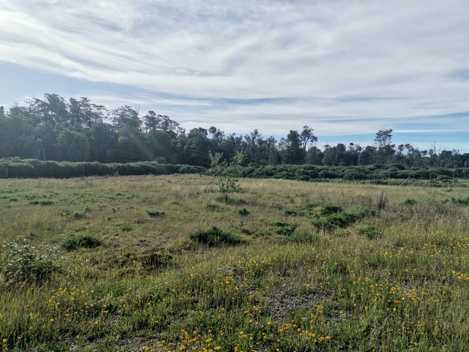 Parcela en Puerto Varas de 5.079 m² - Imagen 10