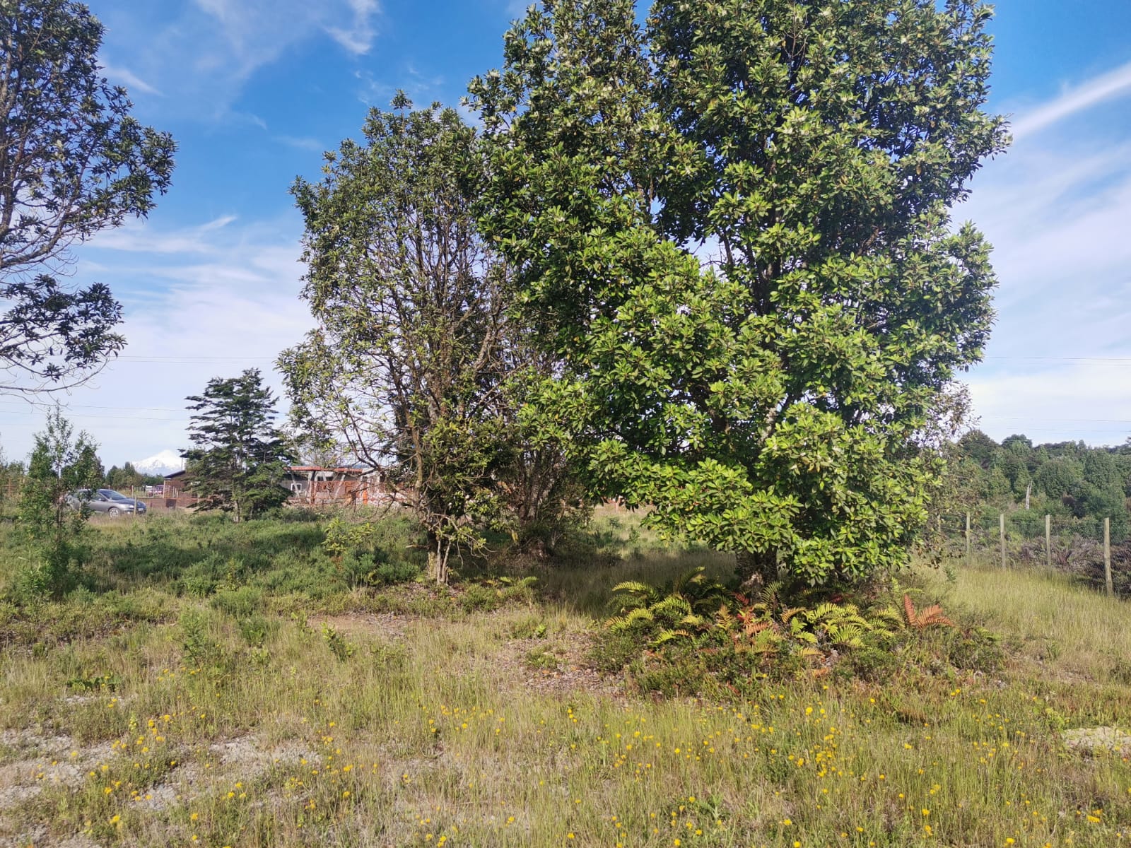 Parcela en Puerto Varas de 5.079 m² - Imagen 12