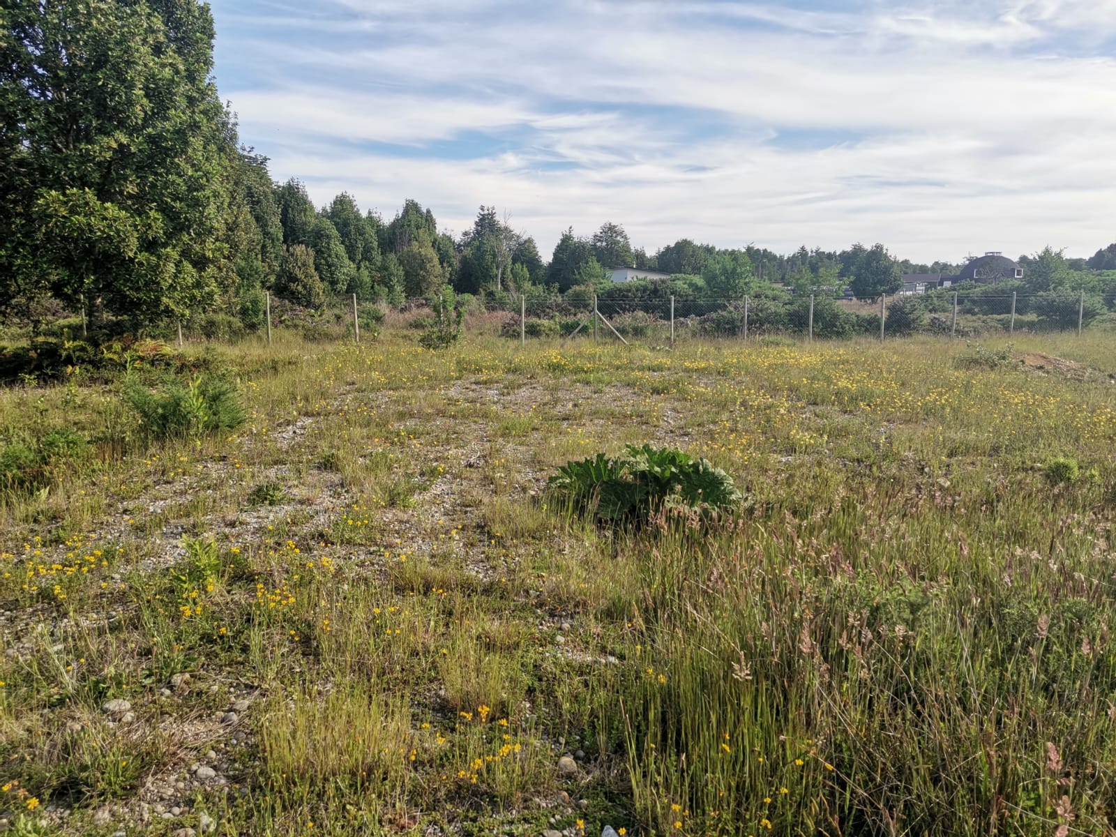 Parcela en Puerto Varas de 5.079 m² - Imagen 2