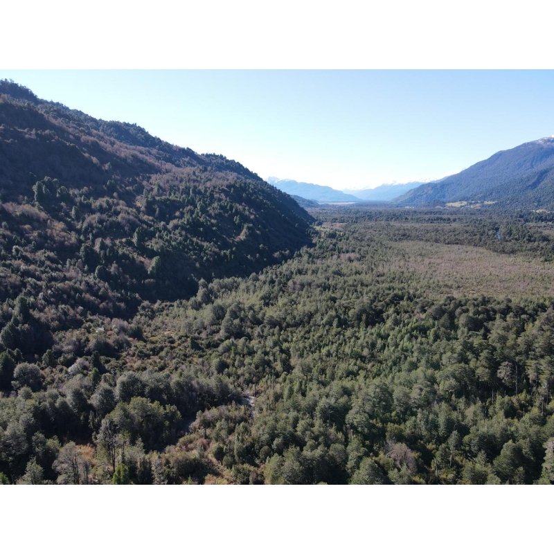 Parcela 5000m2 Valle Risopatrón