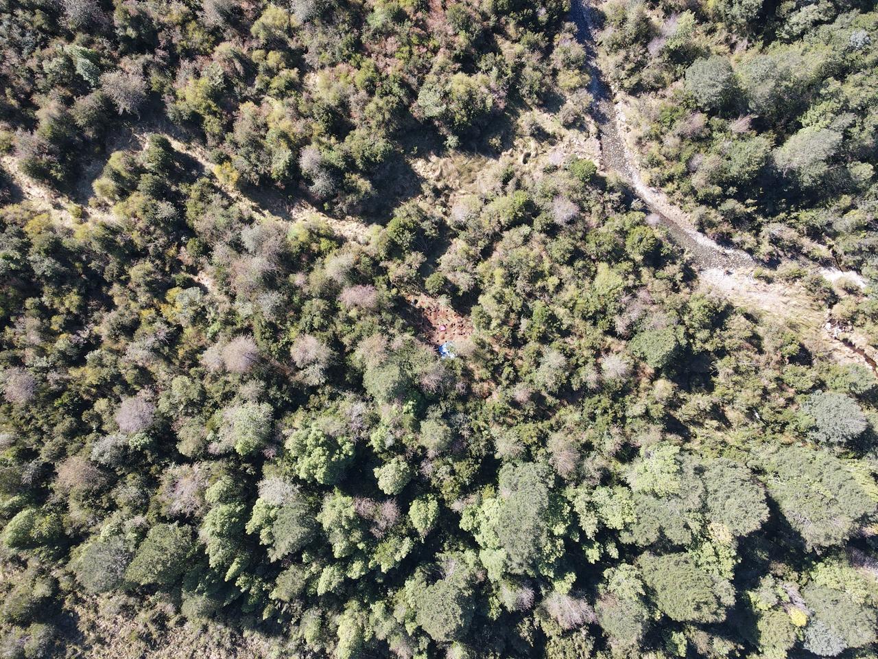 Parcela 5000m2 Valle Risopatrón - Imagen 3