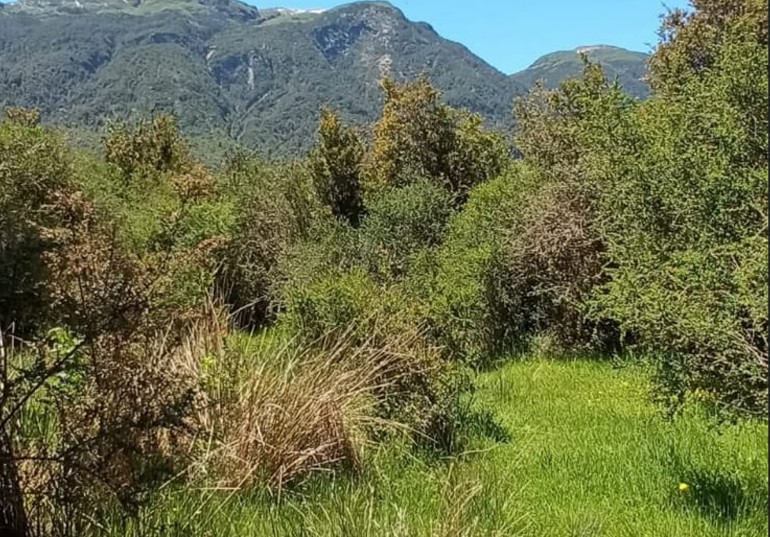 Valle Risopatrón 5000 m² - Imagen 2