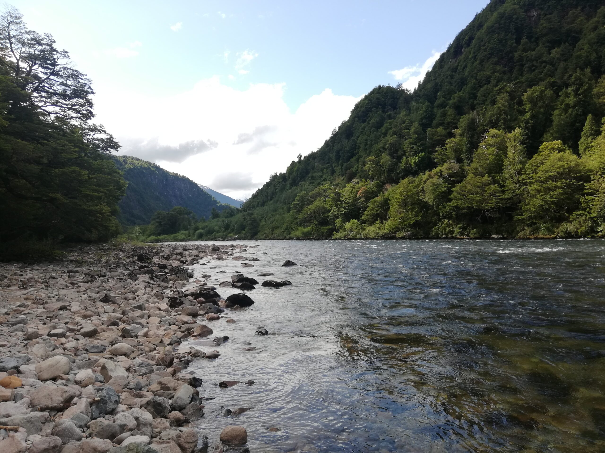 Río Cisnes - La Magia 1,27 ha orilla río - Imagen 12
