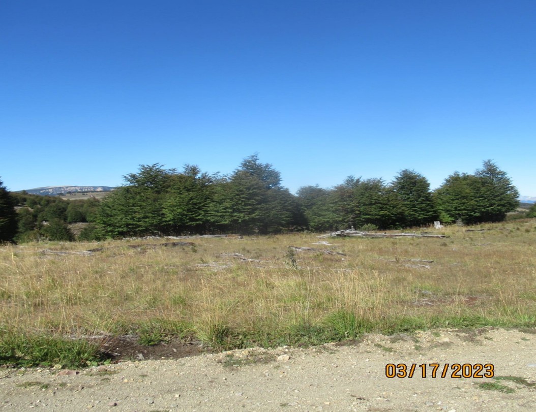 Lago Castor parcela 5000m2 - Imagen 4