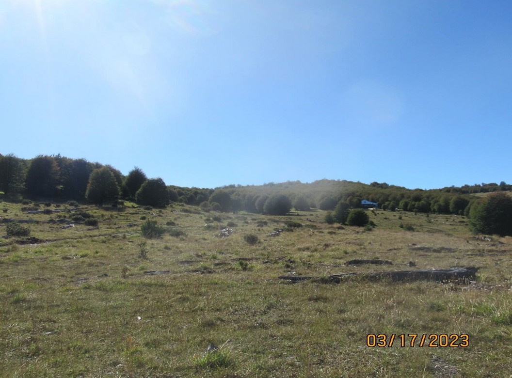 Lago Castor parcela 5000m2 - Imagen 6