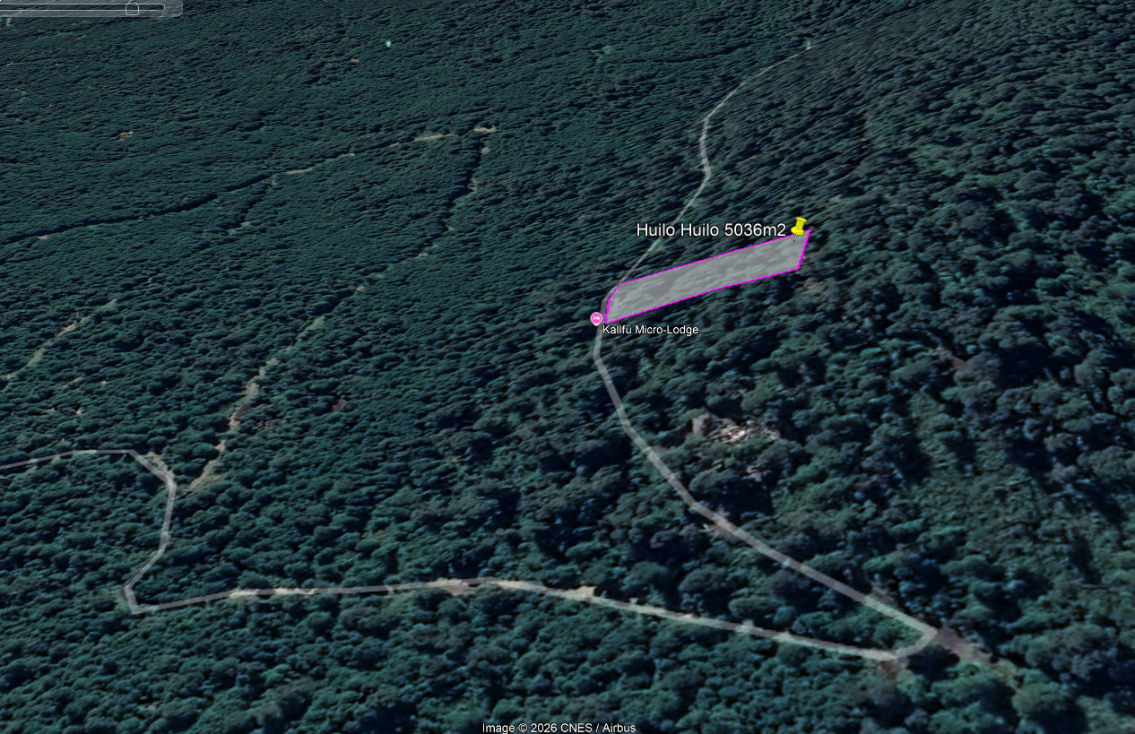 Huilo Huilo: 5.036 m² en Quebrada Honda - Imagen 12