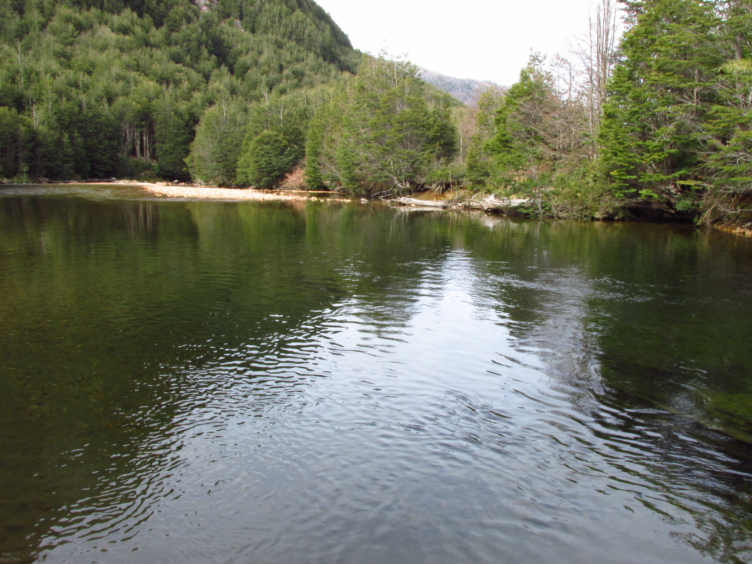 Río La Gloria 1ha Sector Mañihuales - Imagen 9