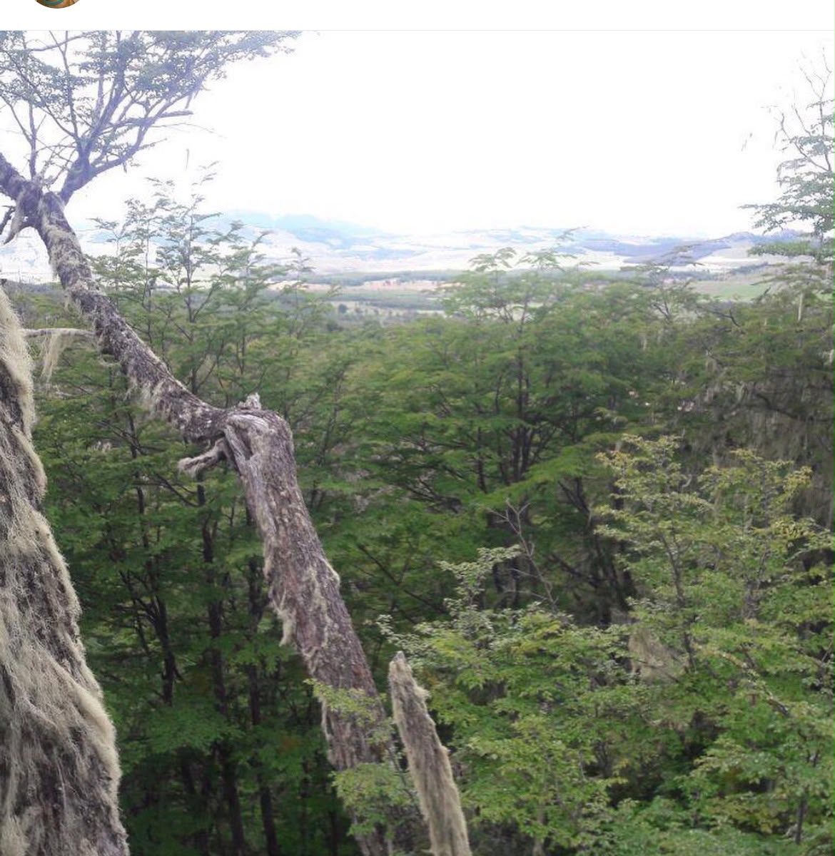 El Fraile 1ha, Coyhaique - Imagen 6