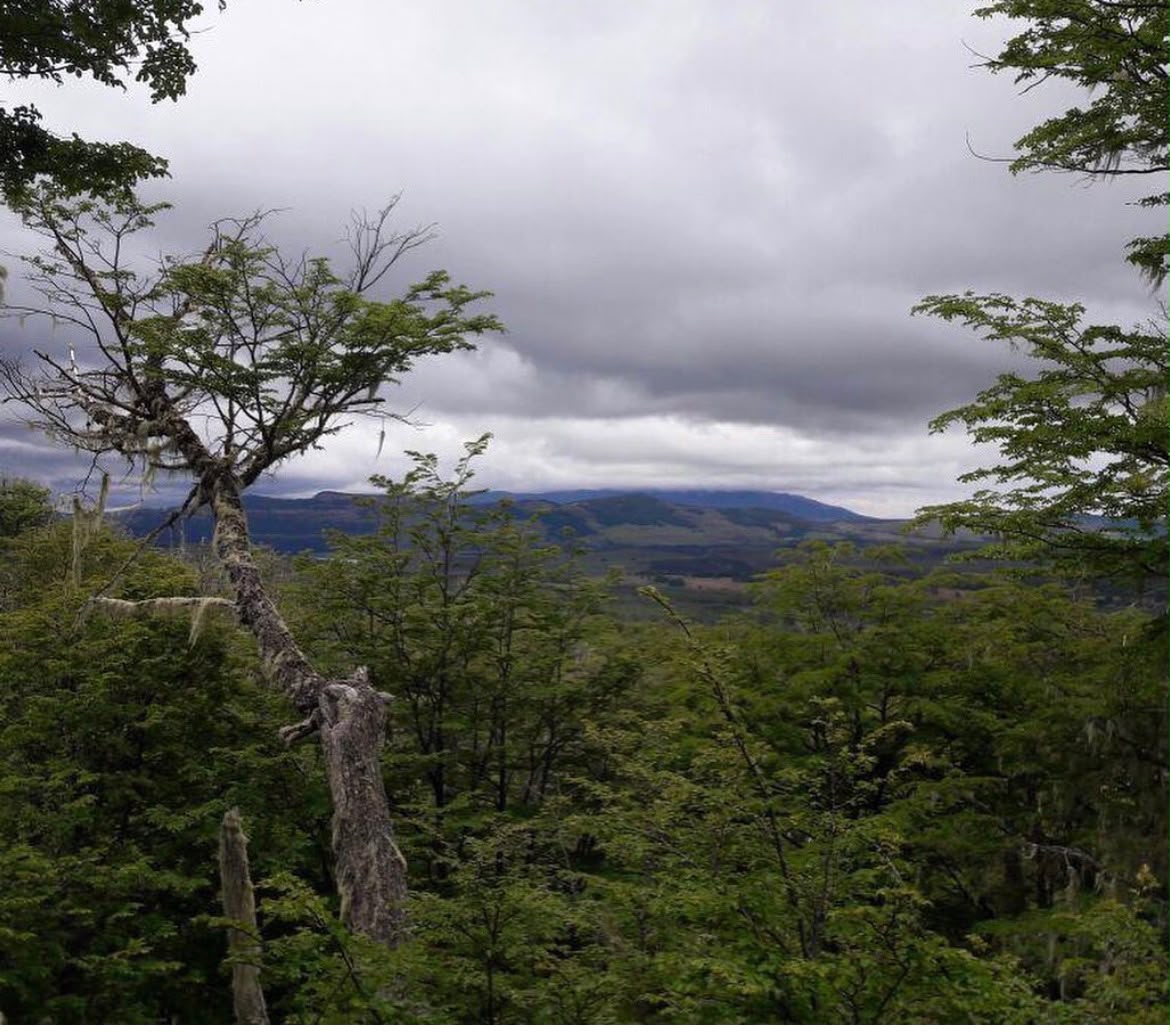 El Fraile 1ha, Coyhaique - Imagen 2