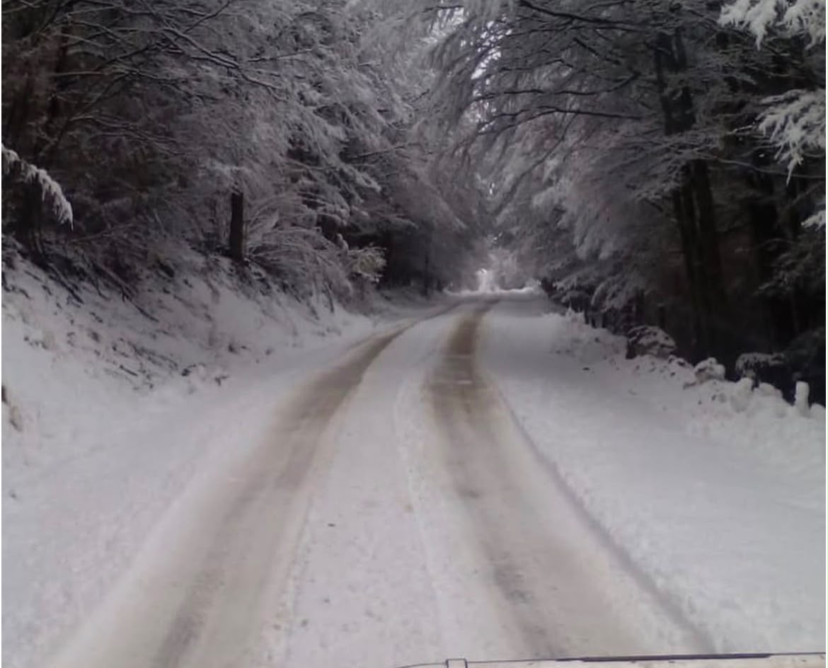 El Fraile 1ha, Coyhaique - Imagen 7