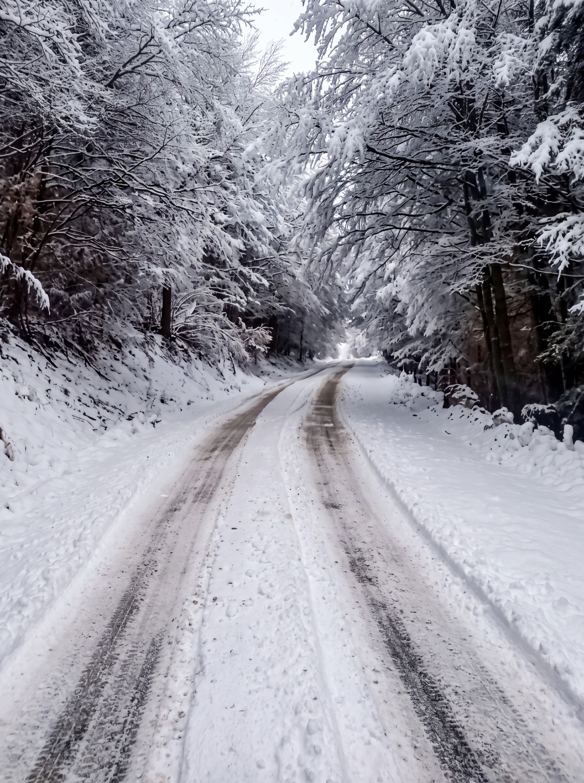 El Fraile 1ha, Coyhaique - Imagen 3
