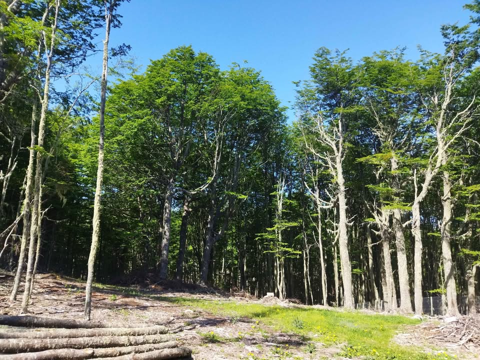 El Fraile parcela 5000 m², Coyhaique - Imagen 2