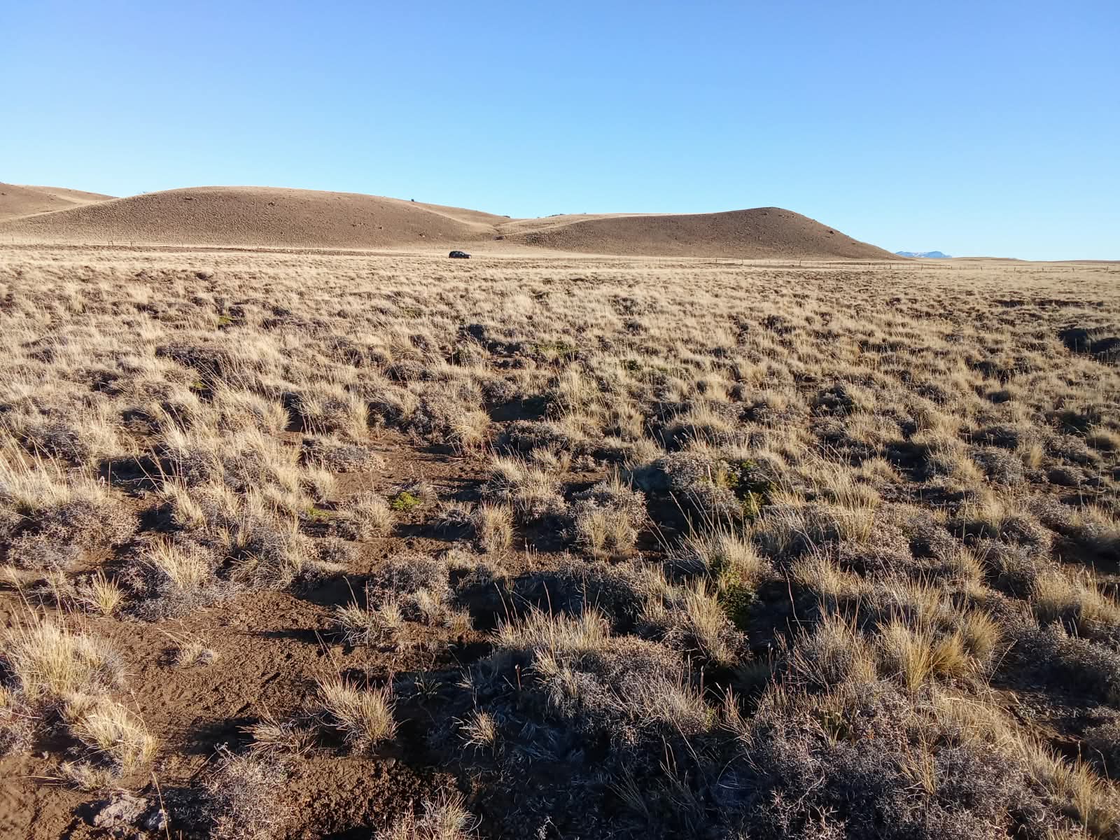 Rodeo Los Palos 1ha - Ñirehuao