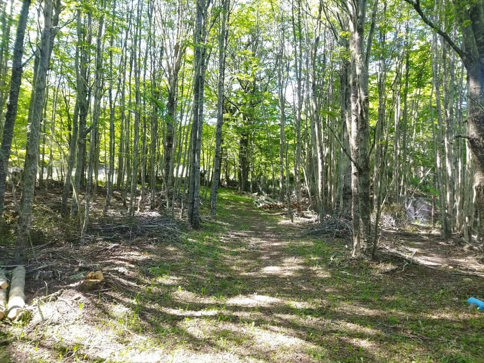 El Fraile parcela 5000 m², Coyhaique - Imagen 9
