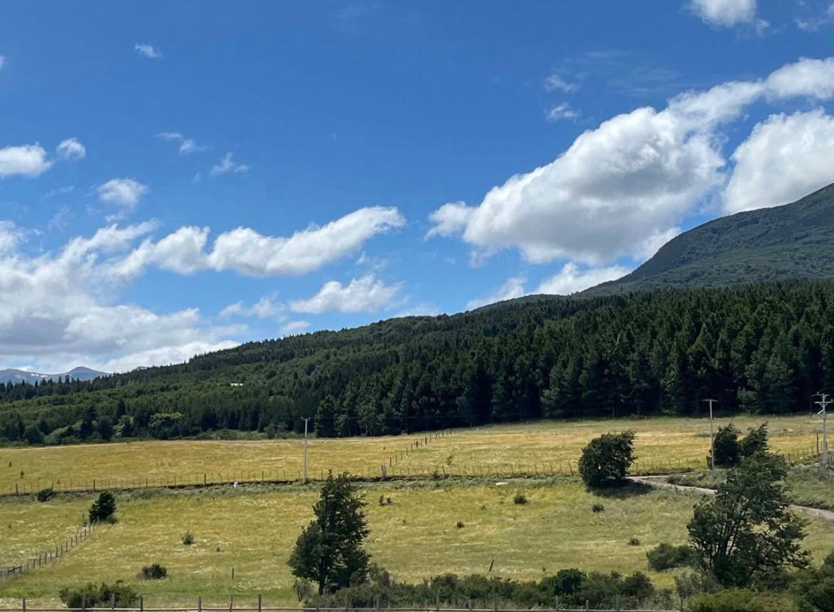Reserva Coyhaique 5000 m² - Imagen 3